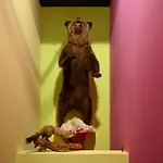 Franz Ξενοδοχείο με διαμερίσματα *